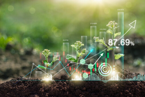 Plant and graph chart growing with shape of arrow, Business investment and financial, Stock, Business growth, profit, development and success on nature background.